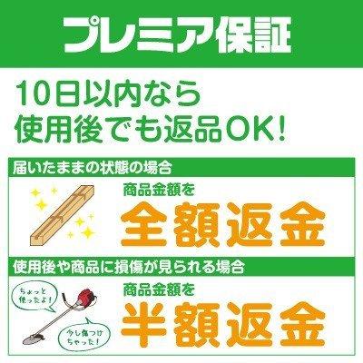 （プレミア保証付） 工進 電気式噴霧機(噴霧器)GT-5V(ガーデンマスター)(5L)(AC100V)最大直射4m