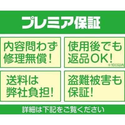 （プレミア保証付）　工進　電池式噴霧器　除草名人　JS-10(10L)(単一乾電池4本付)