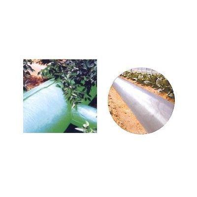 日新化学 1層 ポリダクト 0.1mm厚 400mm X 100m 2本入 農業 ビニール