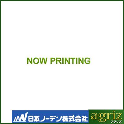 日本ノーデン 園芸ケーブル用 ガイシ 100個入 陶器製 (もくねじ付) 碍子