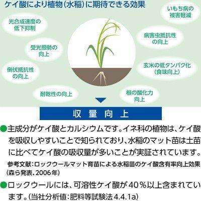 個人宅配送不可 法人限定 営業所止め不可」 水稲育苗用 成型培地