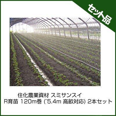 潅水チューブ スミサンスイ 住化農業資材 R育苗 120m巻 (~5.4m 高畝 