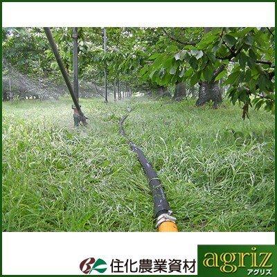 潅水チューブ スミサンスイ 住化農業資材 R横とび 100m巻 主に「果樹園