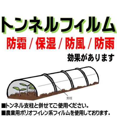 シンセイ PO トンネルフィルム 0.1mm X 200cm X 5m 農業資材 防霜 保湿 防風 防雨｜agriz-ys｜02