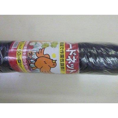 (個人宅配送可能)シンセイ バードネット 17mm目 2m×50m 8本セット (防鳥ネット)(鳥害対策)(鳩)(カラス)(防鳥網)(農業用)(園芸用)(農業資材)(家庭菜園)(200cm)