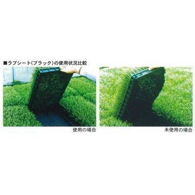 ユニチカ　水稲育苗箱　置床用　不織布　ラブシート　ブラック　150cm×50m　5本入　20307BKD