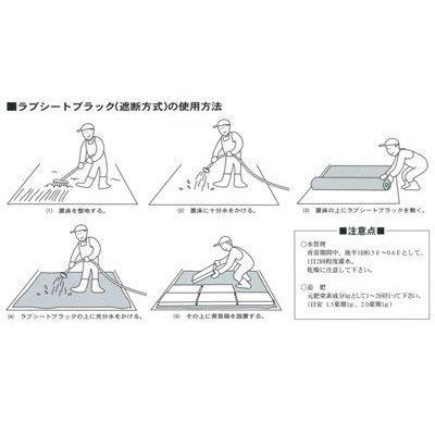 ユニチカ　水稲育苗箱　置床用　180cm×100m　不織布　20307BKD　ラブシート　ブラック　5本入