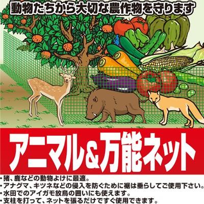 シンセイ アニマル＆万能ネット 16mm目 1m×10m アニマルネット 防獣