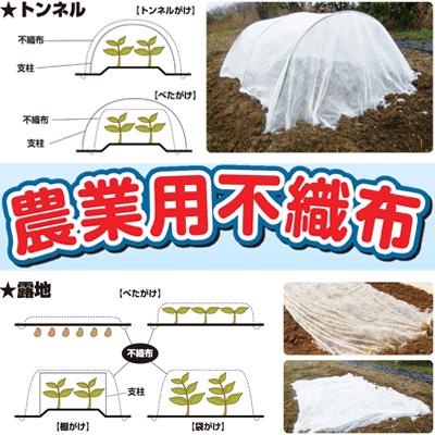 個人宅OK シンセイ 農業用 不織布 150cm X 200m ロール 1.5m 防霜 防鳥