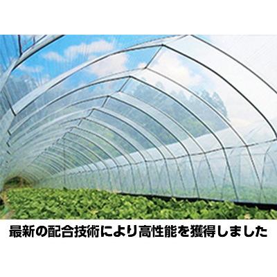 アキレス（achilles） 個人宅OK 外張り用 農ビ 晴天（ノンキリーあすか 
