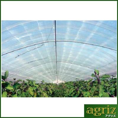 アキレス 内張り・カーテン用 農ビ ノンキリースベールH 厚さ0.075mm×巾300cm×100m巻 農業資材 園芸用品 家庭菜園 ビニールハウス 農業用ビニールフィルム