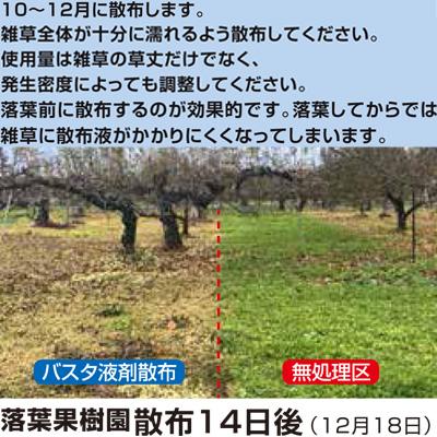 BAYER 除草剤 5L 除草剤 バスタ 4本 (計20L) 農薬 非選択性茎葉処理