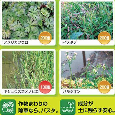 BAYER 除草剤 5L 除草剤 バスタ 4本 (計20L) 農薬 非選択性茎葉処理