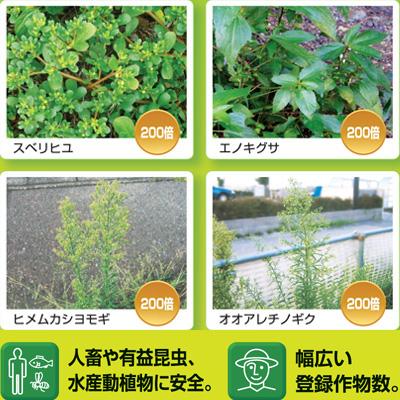 BAYER 除草剤 5L 除草剤 バスタ 4本 (計20L) 農薬 非選択性茎葉処理