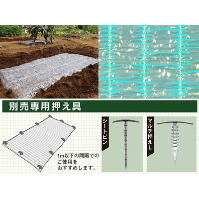 ダイオ ダイオ化成 わらイラズ シルバー 1m X 10m 農業資材 園芸用品 