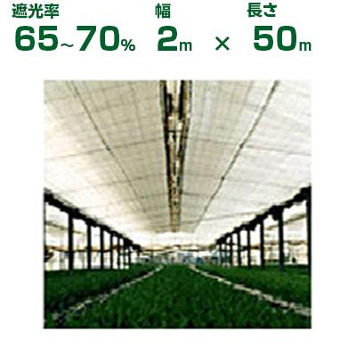 ダイオネット 50m×200㎝ 遮光率65～70% ダイオ ダイオ化成 遮光ネット 白 クールホワイト 1020SW（遮光率65