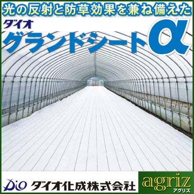 防草シート　1m　ダイオ化成　X　ホワイト　トマト　抗菌剤無　100cm　白色　α　ビニールハウス　4本　植物工場　果樹園　グランドシート　農業資材　100m　イチゴ