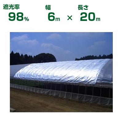 遮光ネット シルバーグレー 幅6m長さ100m 農業