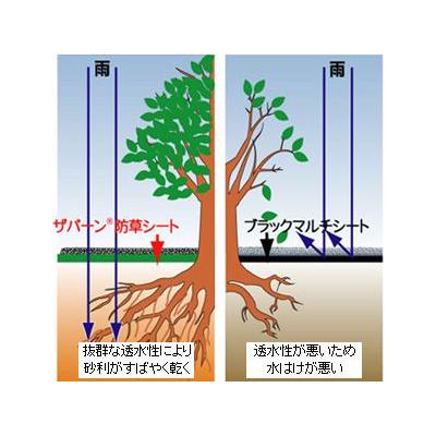 防草シート ザバーン 防草シート 240 防草シート 2m 超強力タイプ ザバーン 240G グリーン 2m X 30m 1本 デュポン｜agriz｜04