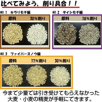 宝田工業 個人宅不可 受注生産 精麦機 家庭用 3RSB-10FS-NT （三相200V