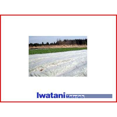 【値下げ】農業用不織布　べたがけ　まもるくん　アイホッカ 岩谷マテリアル 岩谷 イワタニ 不織布 NEW アイホッカ #18 240cm X
