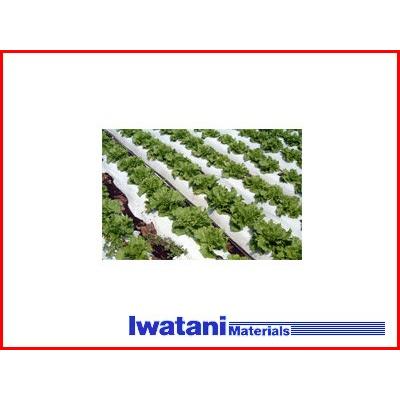 岩谷 イワタニ 菜園用 リバースマルチ白黒 0 02mm 95cm 50m 農業資材 園芸用品 家庭菜園 アグリズ Paypayモール店 通販 Paypayモール