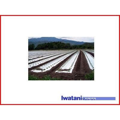 岩谷マテリアル 岩谷 イワタニ 三層シルバーポリ 防虫マルチ