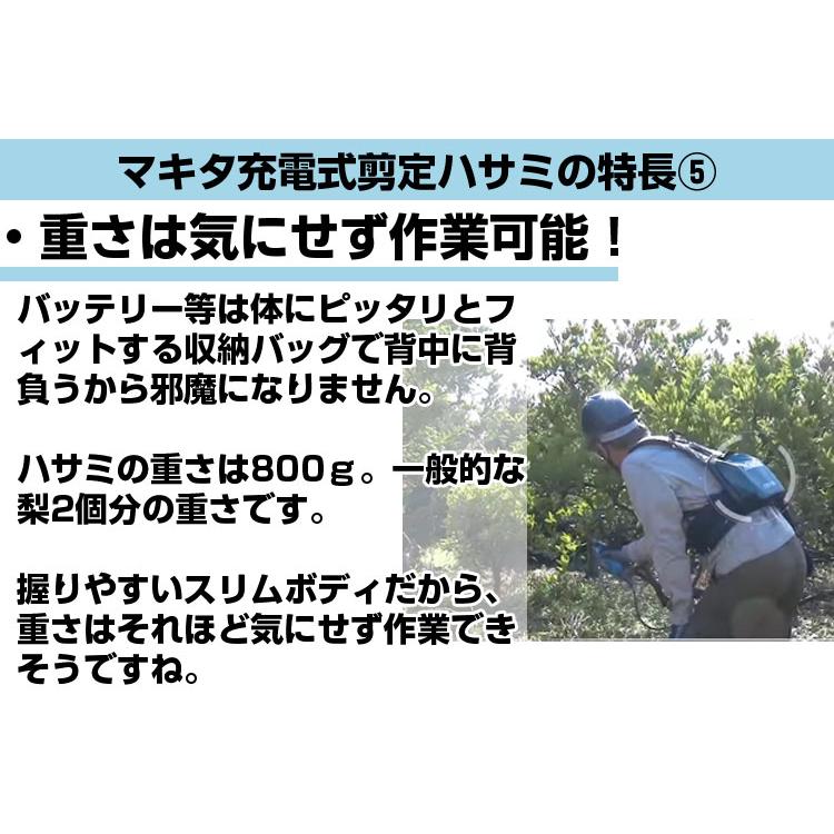 電動剪定バサミ マキタ  UP361DPG2 充電式剪定ばさみ 剪定鋏 剪定はさみ 充電式剪定ハサミ 果樹 ぶどう うめ 梨 柿 みかん 剪定 プロ 切味抜群の画像