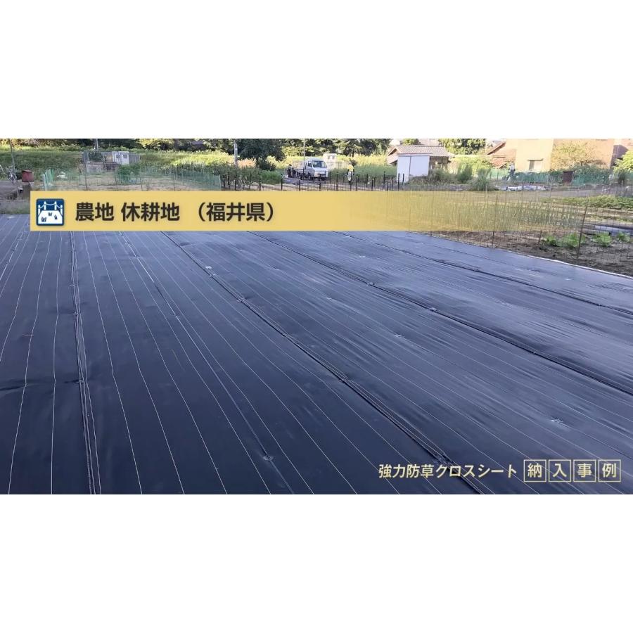 日本マタイ 防草シート 2m 2本 耐候年数約10年 強力 防草クロスシート