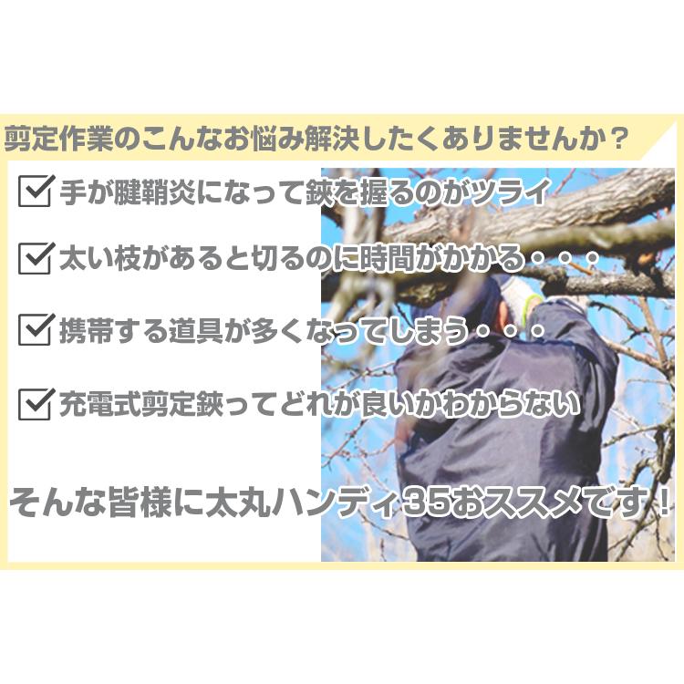 太丸ハンディ35 電動剪定はさみ パワータイプ 予備バッテリー付 (電動剪定はさみ 充電式剪定はさみ)(果樹 剪定 造園 プロ用)_2