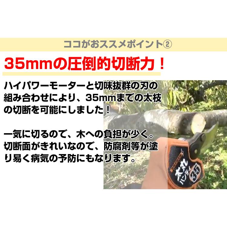 太丸ハンディ35 電動剪定はさみ パワータイプ 予備バッテリー付 (電動剪定はさみ 充電式剪定はさみ)(果樹 剪定 造園 プロ用)_4