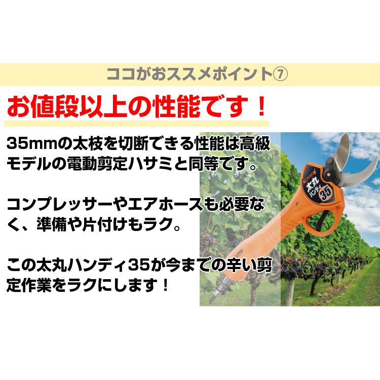 太丸ハンディ35 電動剪定はさみ パワータイプ 予備バッテリー付 (電動剪定はさみ 充電式剪定はさみ)(果樹 剪定 造園 プロ用)_9