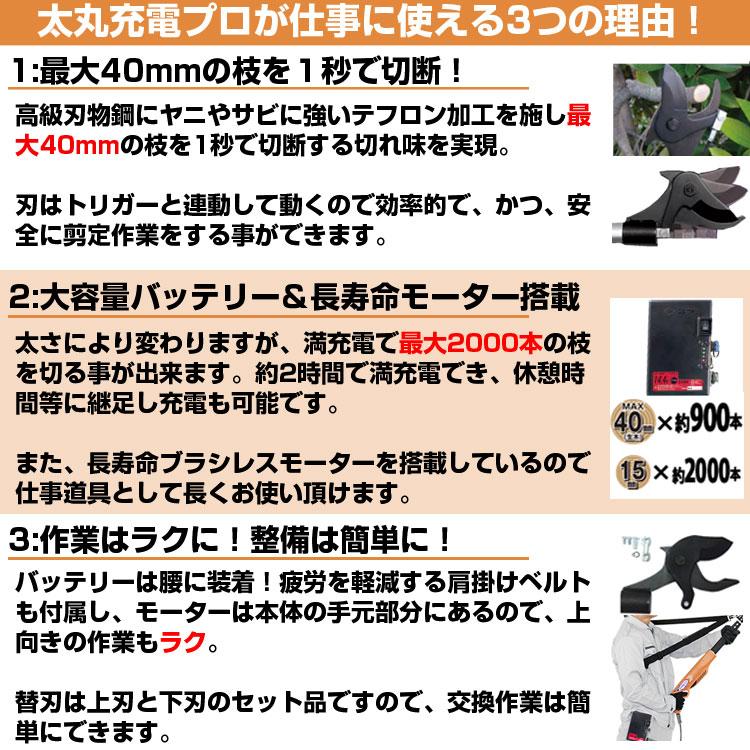 (プレミア保証付き)ニシガキ工業 充電式剪定鋏 太丸充電プロ S750の画像