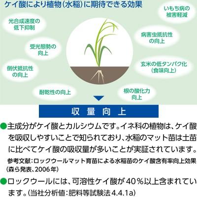 個人宅配送不可 法人限定 営業所止め不可」 水稲育苗用 成型培地