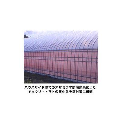 正規品低価格 日本ワイドクロス 防虫ネット サンサンネット 2 1 100m Eレッド Slr30 2 1 100m 目合0 6mm 防虫網 透光率70 3本入 園芸用品 農業資材 園芸用品 家庭菜園 防虫網 ビニールハウス アグリズ 店 通販 100 の保証