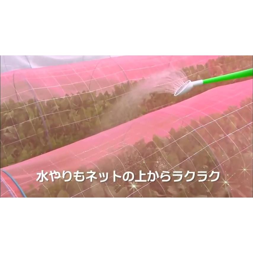 日本ワイドクロス 防虫ネット サンサンネット クロスレッド XR2700 0.8mm目 1.35m×100m 透光率70% 3本入 (農業用)(園芸用)(農業資材)(ビニールハウス)(135cm) - 1