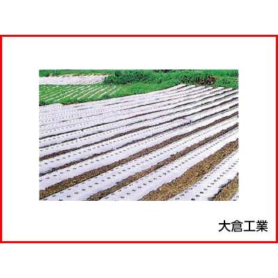 オークラ 大倉 シルバーマルチ シルバーss 農用シート 0 02mm 210cm 0m 3本入 アグリズ 店 業務 産業用 通販 農業資材