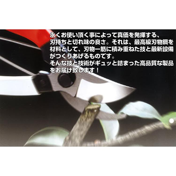 在庫あり) 岡恒/オカツネ 採果鋏 No.301（剪定 園芸 収穫 はさみ