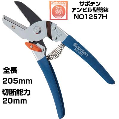 剪定鋏 サボテン アンビル型 楽 楽 No 1257h サボテン 剪定はさみ 果樹 ぶどう みかん うめ リンゴ フッ素コート 青色 農家 プロ用 Sbt 1257h アグリズ Yahoo ショッピング店 通販 Yahoo ショッピング