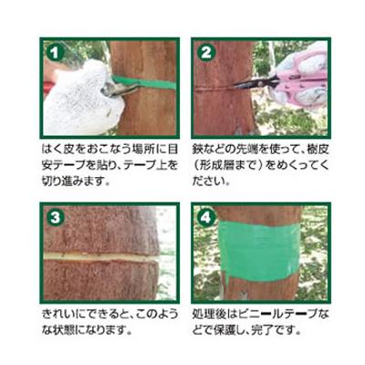 Saboten（サボテン） 環状はくひナイフ NO.B-9 果実着色 糖度向上