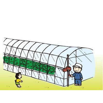 誠和 ハウス巻き上げ換気装置 くるファミ 50 巻上機 ハウス 誠和 ハウス巻き上げ換気装置 くるファミ 50 巻上機 ハウス