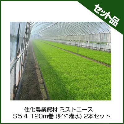 潅水チューブ ミストエース 住化農業資材 S54 120m巻 (サイド灌水) 2 