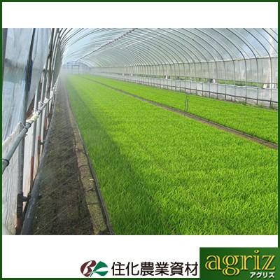 新着商品 住化農業資材 ミストエース S７２ 100m巻 サイド灌水 潅水チューブ 灌水チューブ 大流行中 Www Etnbr Org