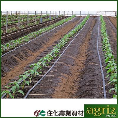 潅水チューブ ネオドリップ 住化農業資材 ヨコシタ 02L 200m巻 上下