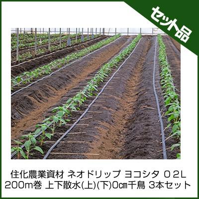 【チューリップ】アッシュフォード　整経台 チューリップ畑の冒険 | TAKUYA YONEZAWA BASE