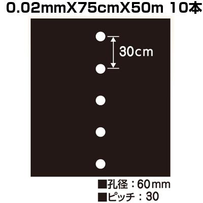 シンセイ ホールマルチ 黒マルチ 7130 0.02mm X 75cm 50m 10本 穴あき