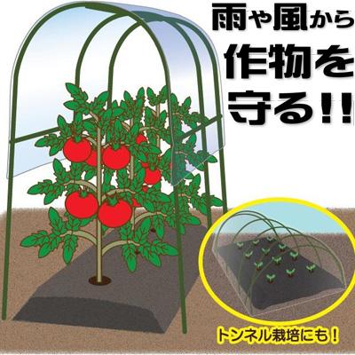 シンセイ PO 雨よけフィルム 0.1mm X 230cm 10m 農業資材 家庭菜園 防