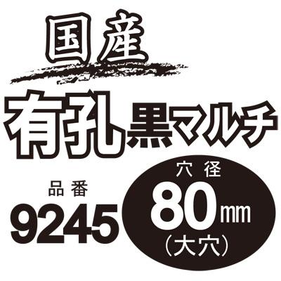 個人宅OK シンセイ 国産 有孔 黒マルチ 9245 0.02mmX95cmX200m 個人宅OK シンセイ 国産 有孔 黒マルチ 9245 0.02mmX95cmX200m