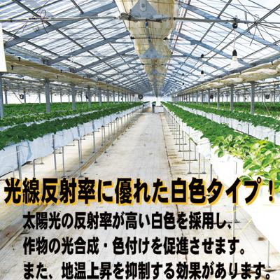 個人宅OK 防草シート 75cm 白 1本 シンセイ 0.75m X 100m ホワイト