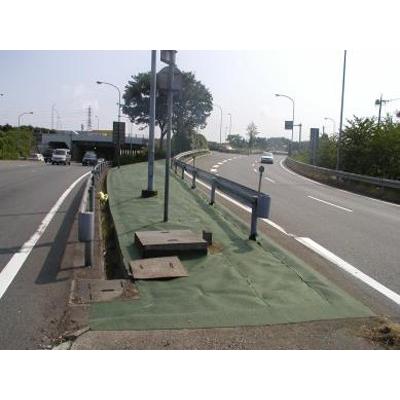 防草シート 50cm 谷口産業 植樹ニューマット C-3 濃緑 グリーン 0.5m X